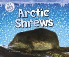 Arctic Shrews, Hardback Book Arctic Shrews, Hardback Book