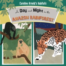 A Day and Night in the Amazon Rainforest, Hardback Book A Day and Night in the Amazon Rainforest, Hardback Book