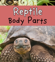 Reptile Body Parts