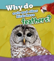 Why Do Owls and Other Birds Have Feathers?, Paperback Book Why Do Owls and Other Birds Have Feathers?, Paperback Book