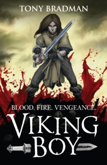 Viking Boy, Paperback / softback Book Viking Boy, Paperback / softback Book