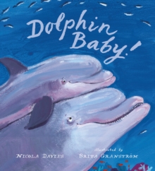 Dolphin Baby, Hardback Book Dolphin Baby, Hardback Book