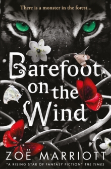 Barefoot on the Wind, Paperback / softback Book Barefoot on the Wind, Paperback / softback Book
