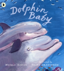 Dolphin Baby, Paperback Book Dolphin Baby, Paperback Book