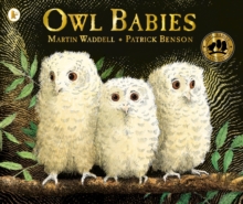 Owl Babies, Paperback / softback Book Owl Babies, Paperback / softback Book