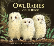 Owl Babies, Hardback Book Owl Babies, Hardback Book