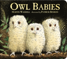 Owl Babies, Board book Book Owl Babies, Board book Book