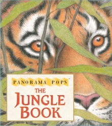 The Jungle Book, Hardback Book The Jungle Book, Hardback Book
