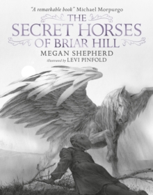 The Secret Horses of Briar Hill, Hardback Book The Secret Horses of Briar Hill, Hardback Book