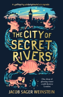 The City of Secret Rivers, Hardback Book The City of Secret Rivers, Hardback Book