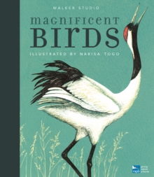MAGNIFICENT BIRDS, Hardback Book MAGNIFICENT BIRDS, Hardback Book