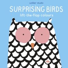 Surprising Birds: Lift-the-Flap Colours, Hardback Book Surprising Birds: Lift-the-Flap Colours, Hardback Book