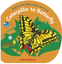 Caterpillar to Butterfly : Open Out and Create a Giant Life-Cycle, Hardback Book Caterpillar to Butterfly : Open Out and Create a Giant Life-Cycle, Hardback Book