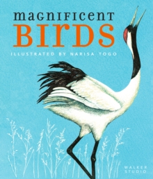 Magnificent Birds