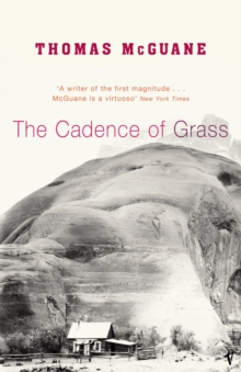 The Cadence Of Grass