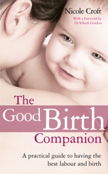 The Good Birth Companion : A Practical Guide to Having the Best Labour and Birth