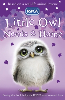 Little Owl Needs A Home, Paperback Book Little Owl Needs A Home, Paperback Book