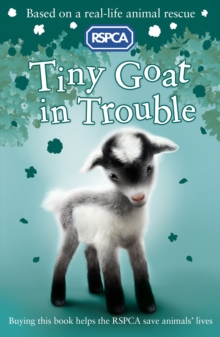 Tiny Goat in Trouble, Paperback Book Tiny Goat in Trouble, Paperback Book