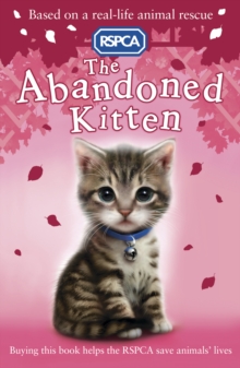 The Abandoned Kitten