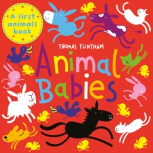 Animal Babies, Paperback Book Animal Babies, Paperback Book