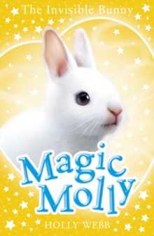 The Invisible Bunny, Paperback Book The Invisible Bunny, Paperback Book