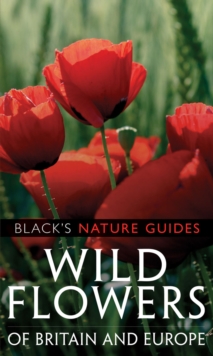 Wild Flowers of Britain and Europe, Paperback Book Wild Flowers of Britain and Europe, Paperback Book
