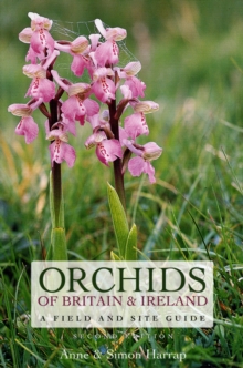 Orchids of Britain and Ireland : A Field and Site Guide, Paperback Book Orchids of Britain and Ireland : A Field and Site Guide, Paperback Book
