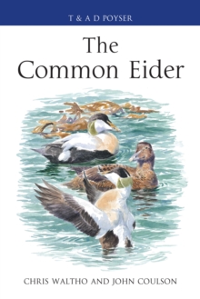 The Common Eider, Hardback Book The Common Eider, Hardback Book