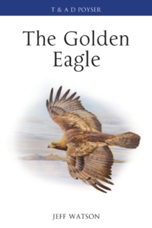 The Golden Eagle