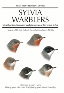 Sylvia Warblers : Identification, Taxonomy and Phylogeny of the Genus Sylvia