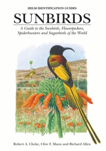 Sunbirds : A Guide to the Sunbirds, Flowerpeckers, Spiderhunters and Sugarbirds of the World