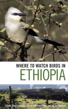 Where to Watch Birds in Ethiopia