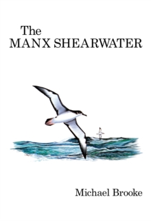 The Manx Shearwater