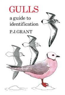 Gulls: A Guide to Identification. 2nd Edition