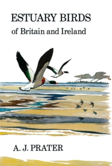 Estuary Birds of Britain and Ireland