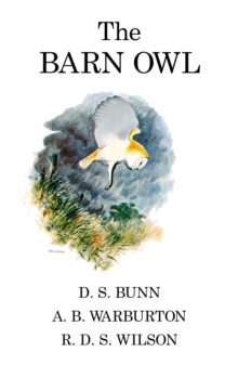 The Barn Owl