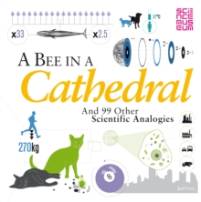 A Bee in a Cathedral : And 99 other scientific analogies, Paperback Book A Bee in a Cathedral : And 99 other scientific analogies, Paperback Book