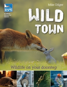 Wild Town, Paperback / softback Book Wild Town, Paperback / softback Book