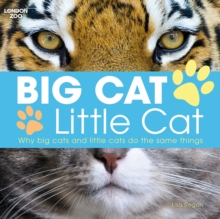 Big Cat, Little Cat, Paperback Book Big Cat, Little Cat, Paperback Book