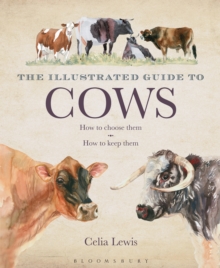 The Illustrated Guide to Cows : How To Choose Them - How To Keep Them, Hardback Book The Illustrated Guide to Cows : How To Choose Them - How To Keep Them, Hardback Book