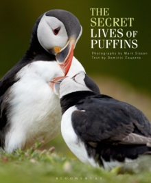 The Secret Lives of Puffins, Hardback Book The Secret Lives of Puffins, Hardback Book