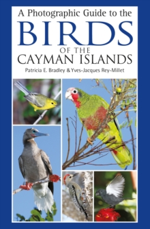 A Photographic Guide to the Birds of the Cayman Islands