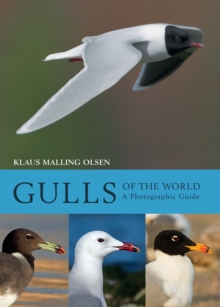 Gulls of the World : A Photographic Guide