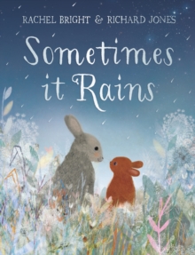 Sometimes It Rains by Rachel Bright (Hardback Book) - Image 8