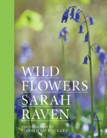 Sarah Raven's Wild Flowers, Hardback Book Sarah Raven's Wild Flowers, Hardback Book