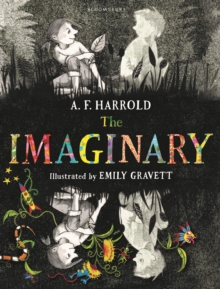 The Imaginary, Hardback Book The Imaginary, Hardback Book