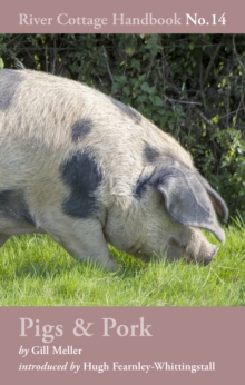 Pigs & Pork : River Cottage Handbook No.14