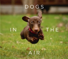Dogs in the Air, Hardback Book Dogs in the Air, Hardback Book
