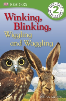 Winking, Blinking, Wiggling and Waggling