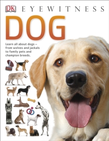 Dog, Paperback Book Dog, Paperback Book